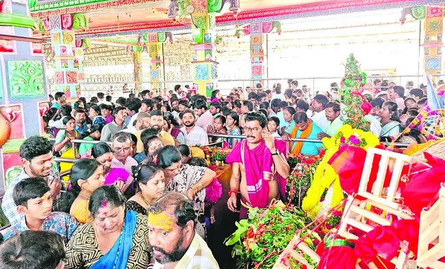 మైసిగ