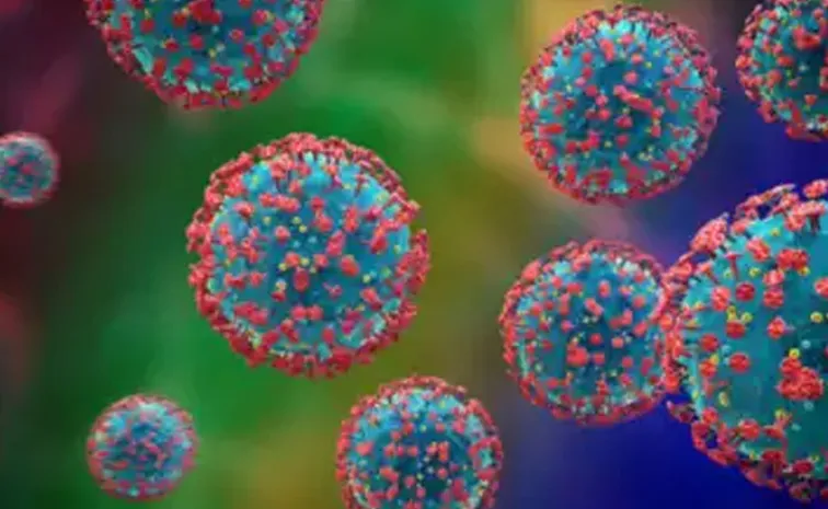 HMPV Virus Outbreak in china know its causes Symptoms, Prevention