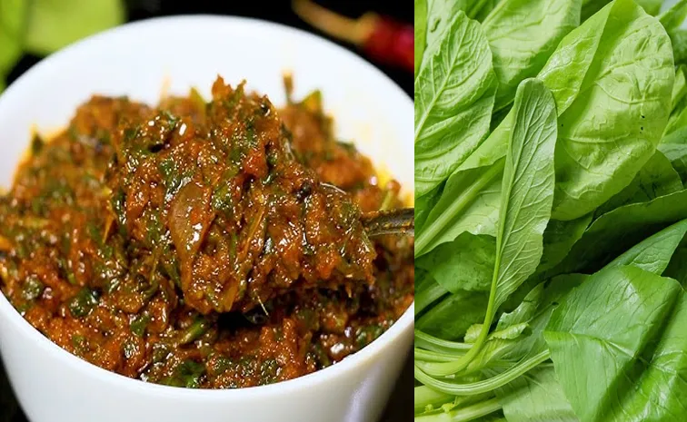 How to make palak or spinachchutney check recipe