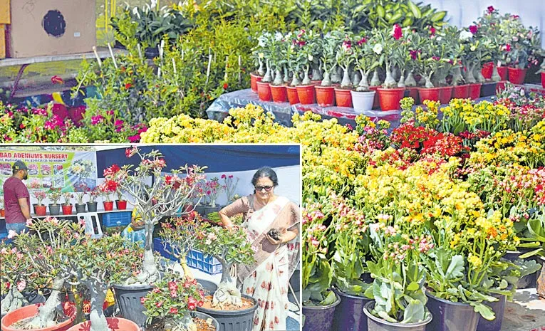 Plant nutrition In Necklace Road People Plaza