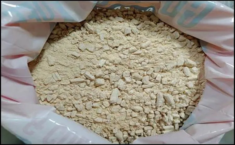 2 foreign nationals hide cocaine worth Rs 26 crore in stomach