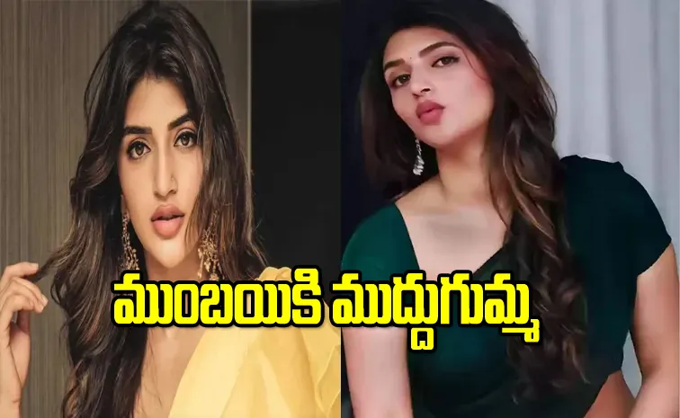 Tollywood Actress Sreeleela Bollywood Entry With This Hero