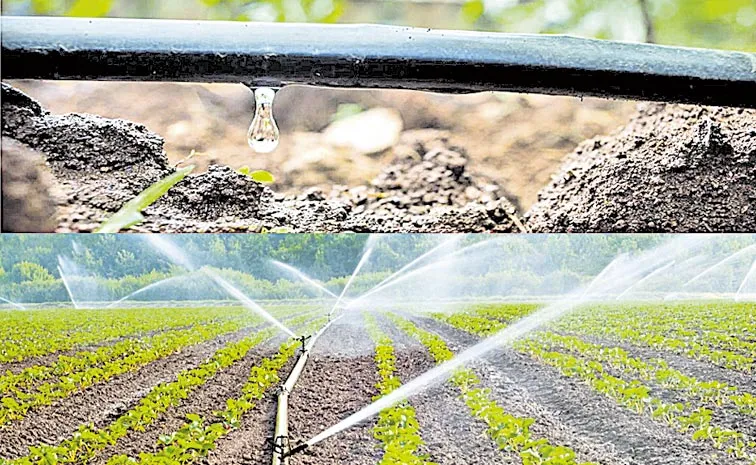 Drip And Sprinklers on subsidy: Andhra pradesh
