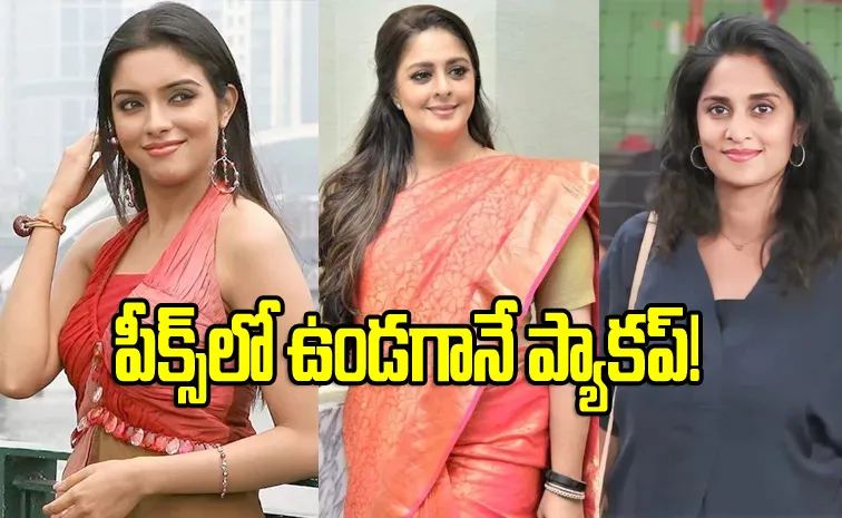 South Indian Actresses who left cinema When They Have Satrdom