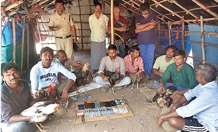 police problems In kodi pandalu at ap