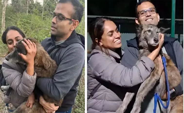 Gurugram Couple Found Lost Dog After 3 Months