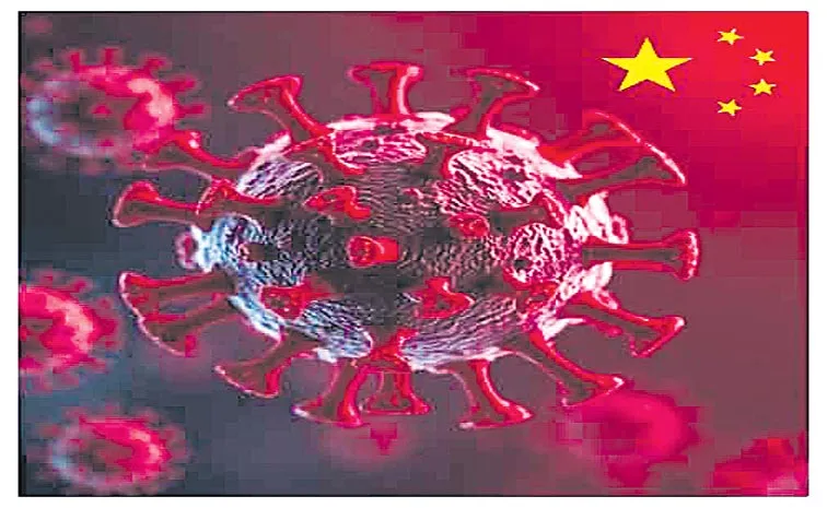 HKU5-CoV-2: China finds new coronavirus that can infect humans