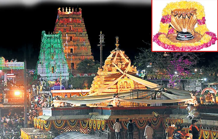 Most unique part of Mahashivratri celebrations is decoration of the Paga