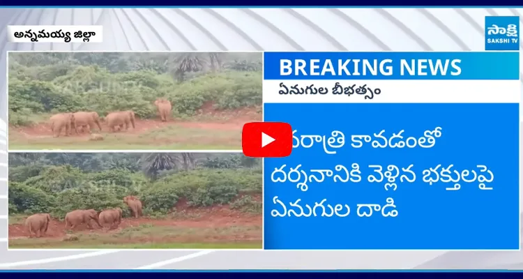 Elephants Attack in Annamayya District 