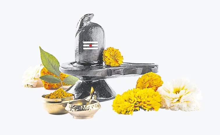 DVR: maha shivaratri special story
