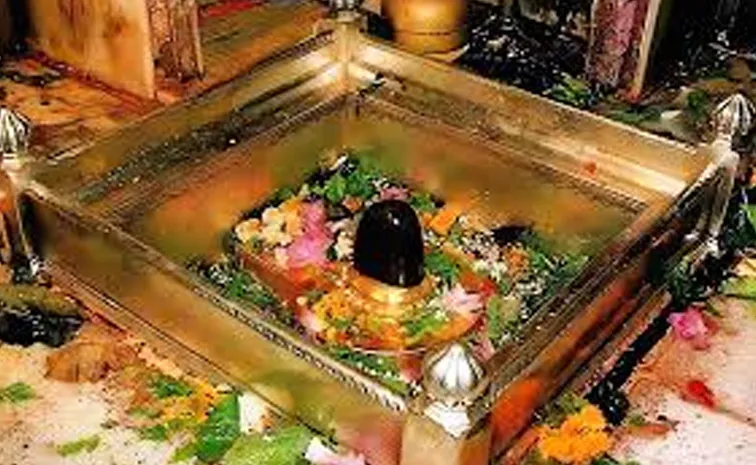 Mahashivratri Live Photos Updates Ujjain Mahakal Kashi Vishwanath Somnath Mahakumbh Shivratri snan
