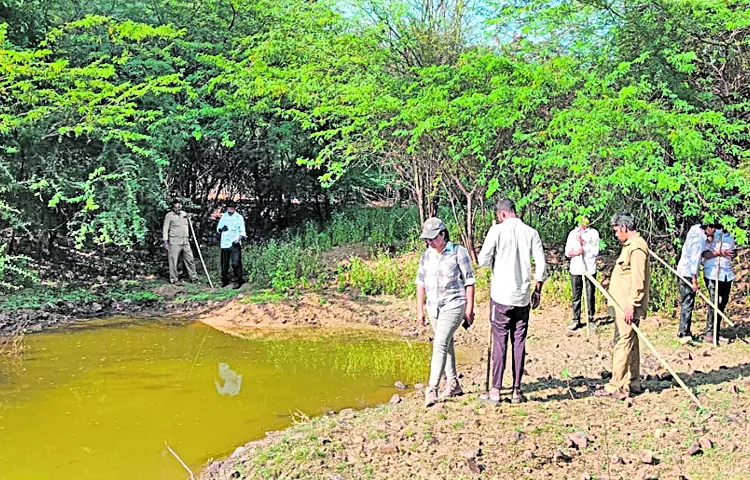 Forest officials search for leopard in Sri Venkateswara University