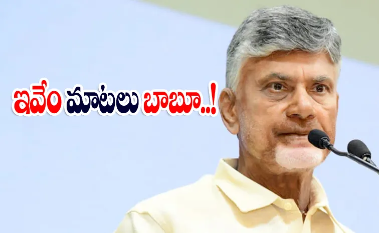 CM Chandrababu Naidu Comments Against YSRCP