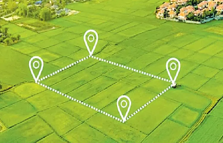Village surveyors assigned additional tasks along with re survey