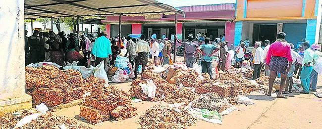 ‘చింత’కు రికార్డు ధర
