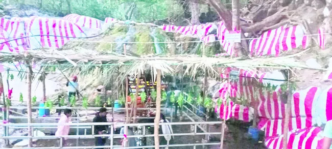 నేటి నుంచి గుబ్బల మంగమ్మ జాతర