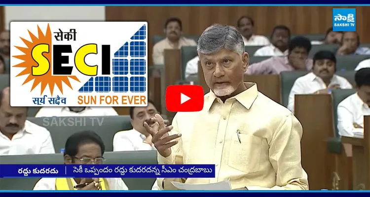 Chandrababu Key Comments On SECI Agreement