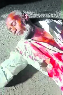 రైలు