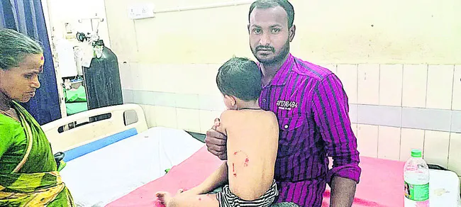 చికెన