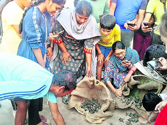 నేల నుంచి నీటిలోకి..