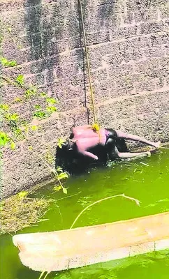 బావిలో యువకుడి మృతదేహం లభ్యం