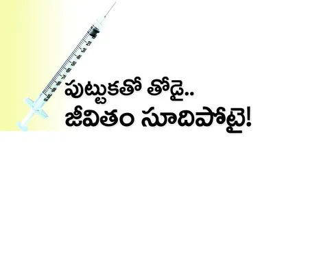 షుగర్