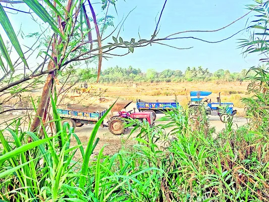 పేట్రేగుతున్న ‘పచ్చ’ మాఫియా!