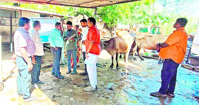మూగజీవుల లెక్కింపు పనులు షురూ