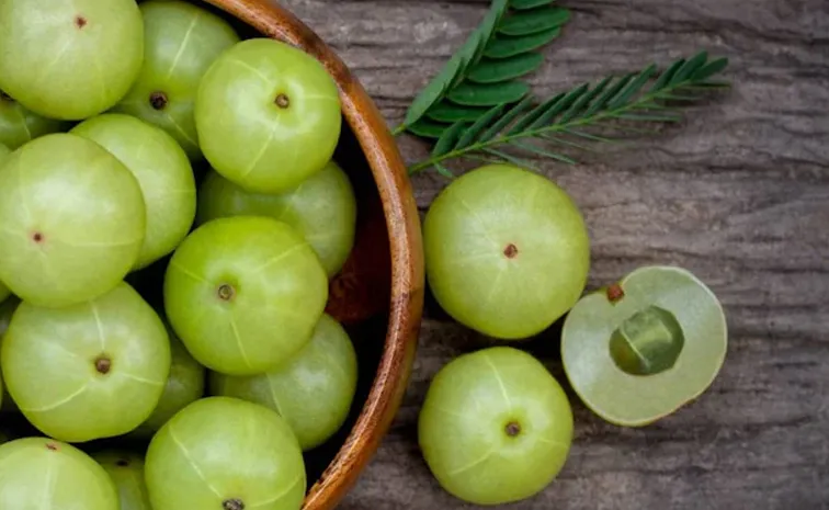 Amazing health benefits Amla Indian gooseberry 12