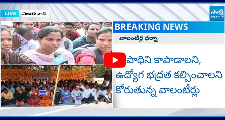 AP Volunteers Protest Against Chandrababu8