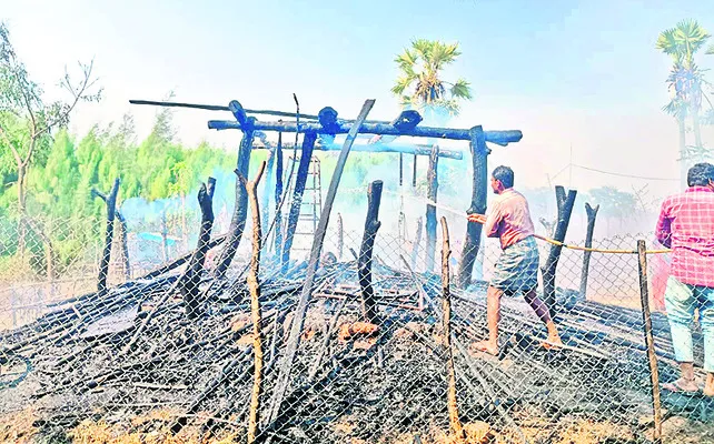 బుచ్చింపేటలో పశువుల పాక దగ్ధం