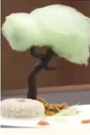 Celebrity MasterChef: Archana Gautam Wows Judges With Her Kiwi Ice Cream Dessert5