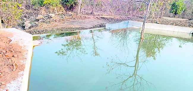 వన్యప్రాణుల దాహార్తికి చెక్‌డ్యాం