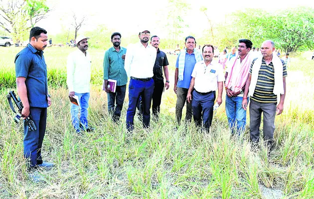 పంటల సంరక్షణకు చర్యలు 