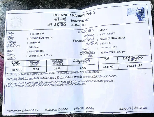 పత్తి