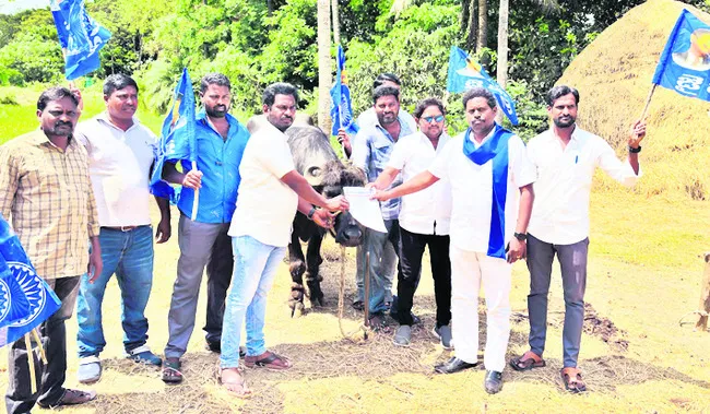 ఎస్సీ వర్గీకరణకు నిరసనగా దున్నపోతుకు వినతిపత్రం
