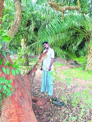 బాణసంచా తయారీలో నిబంధనలు పాటించాలి 
