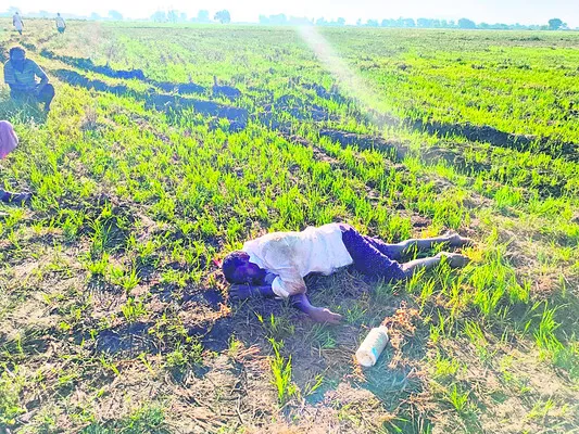 రైతన్