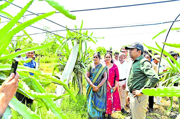 సన్నచిన్నకారు రైతులకు ‘ఉపాధి’ ఊతం 