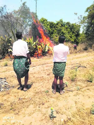 ఫ్లైయాష్ వ్యవహారంపై విచారణ