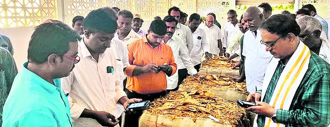 పొగాక
