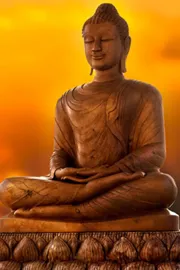 Difference between Buddha and human being9