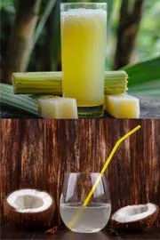 Coconut Water Vs Sugarcane Juice: Which is the Best Summer Drink 2
