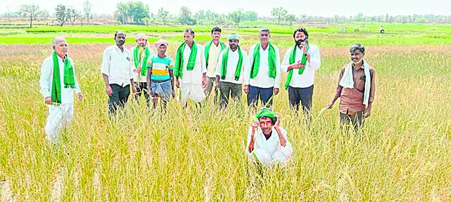 ఎండిన పంటలకు పరిహారం ఇవ్వాలి 