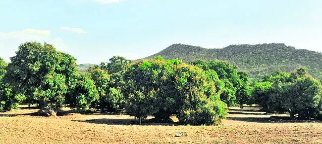 కవర్