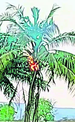 చింతక