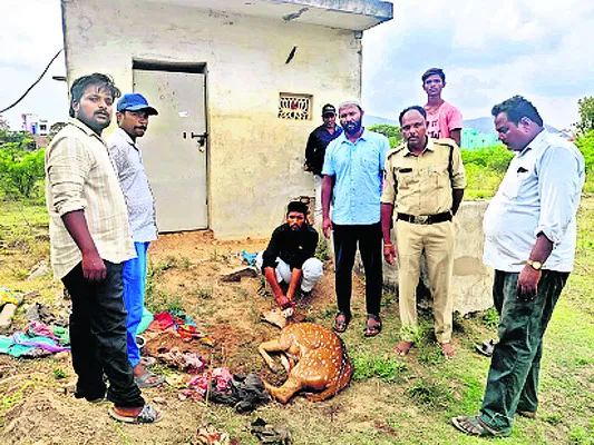 కొబ్బ