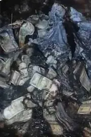 Delhi High Court Justice Yashwant Varma Cash Row Video Viral6
