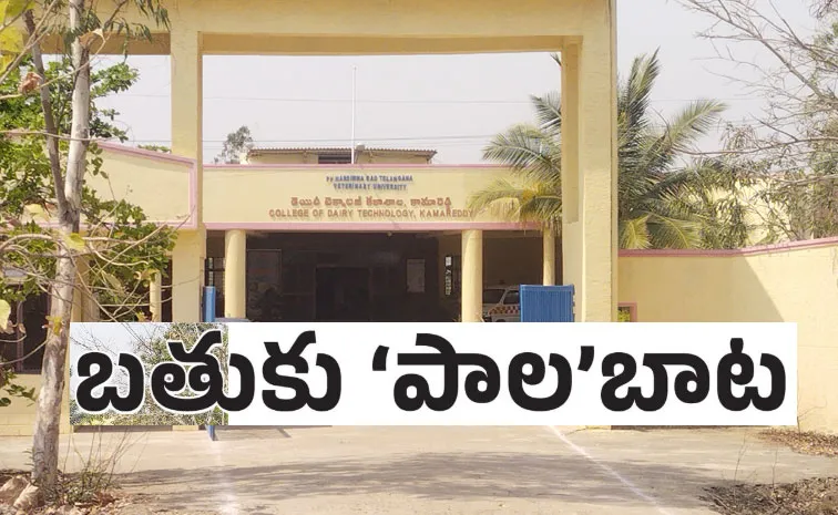 kamareddy dairy technology college courses and jobs details