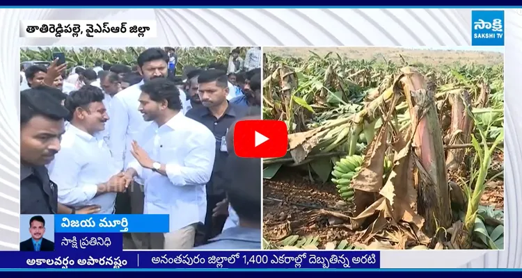 YS Jagan Meets Banana Crop Farmers In Tatireddy Palle 